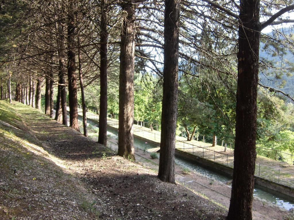 Convento Di Acqua Premula 호텔 셀라노 외부 사진