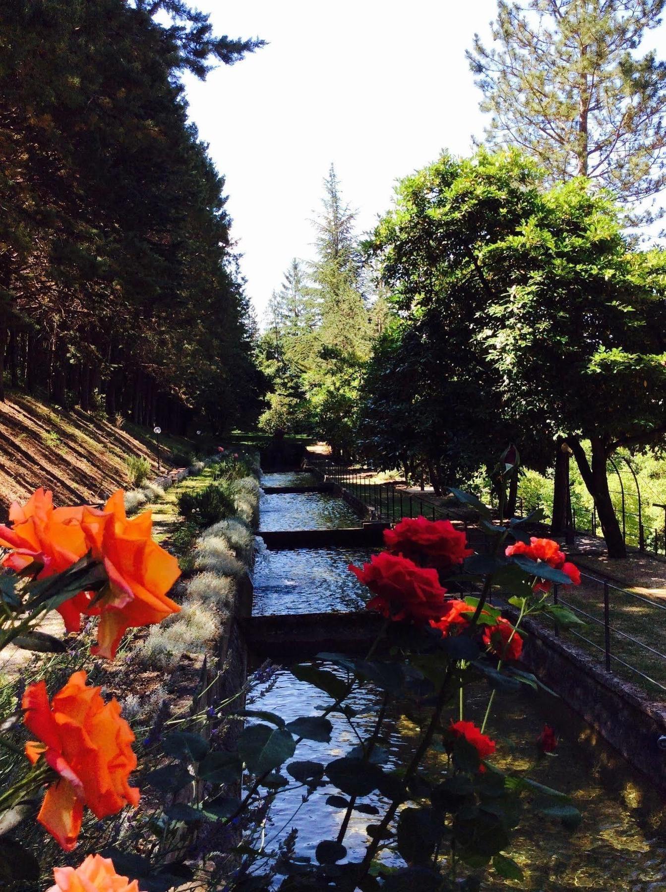 Convento Di Acqua Premula 호텔 셀라노 외부 사진